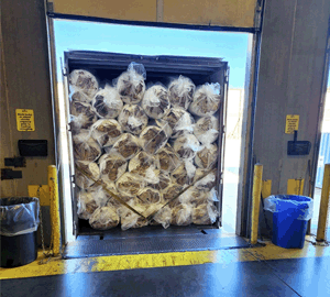 Blanket Insulation